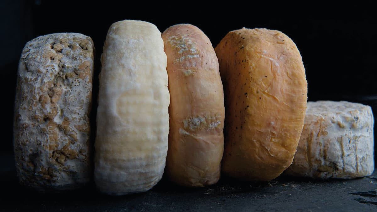 Treveador Farm Dairy