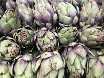 Pile of fresh purple and green globe artichokes