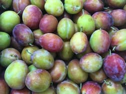 Pile of ripe red and green plums