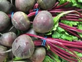 Bunches of beetroot with red stalks and green leaves