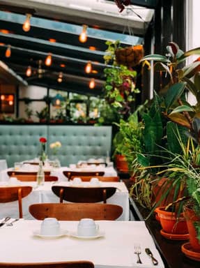 Restaurant conservatory with laid tables, hanging lights and potted plants