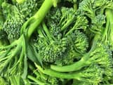 Close-up of fresh tenderstem broccoli