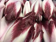 Close-up of red chicory heads