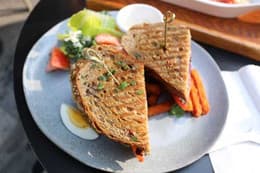 Toasted sandwich halves served with salad on a plate