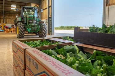 Crates of fresh British greens in a farm barn with a tractor