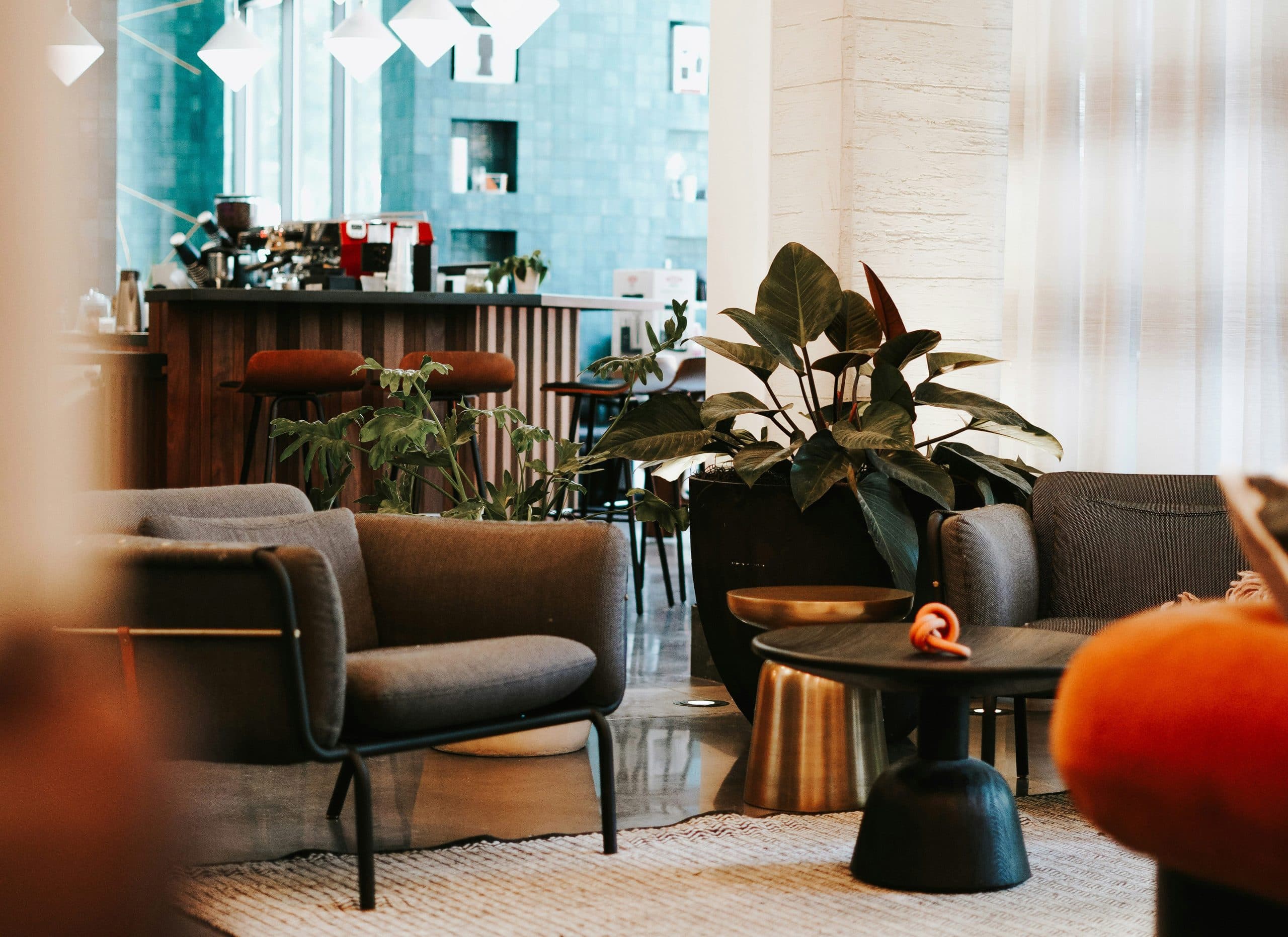 Hotel lounge with grey armchairs, plants and a coffee bar