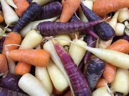 Heritage carrots in purple, orange and white