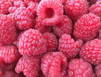 Close-up of fresh ripe raspberries