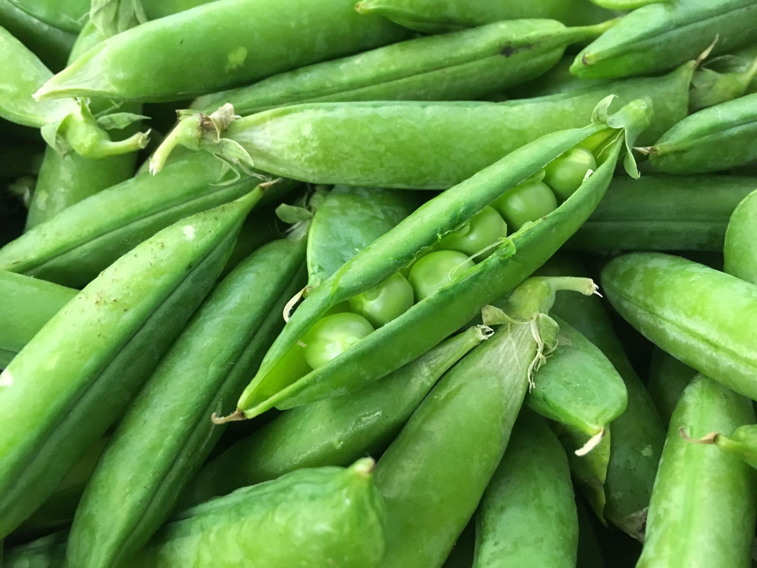 Fresh pea pods with one split open to show the peas