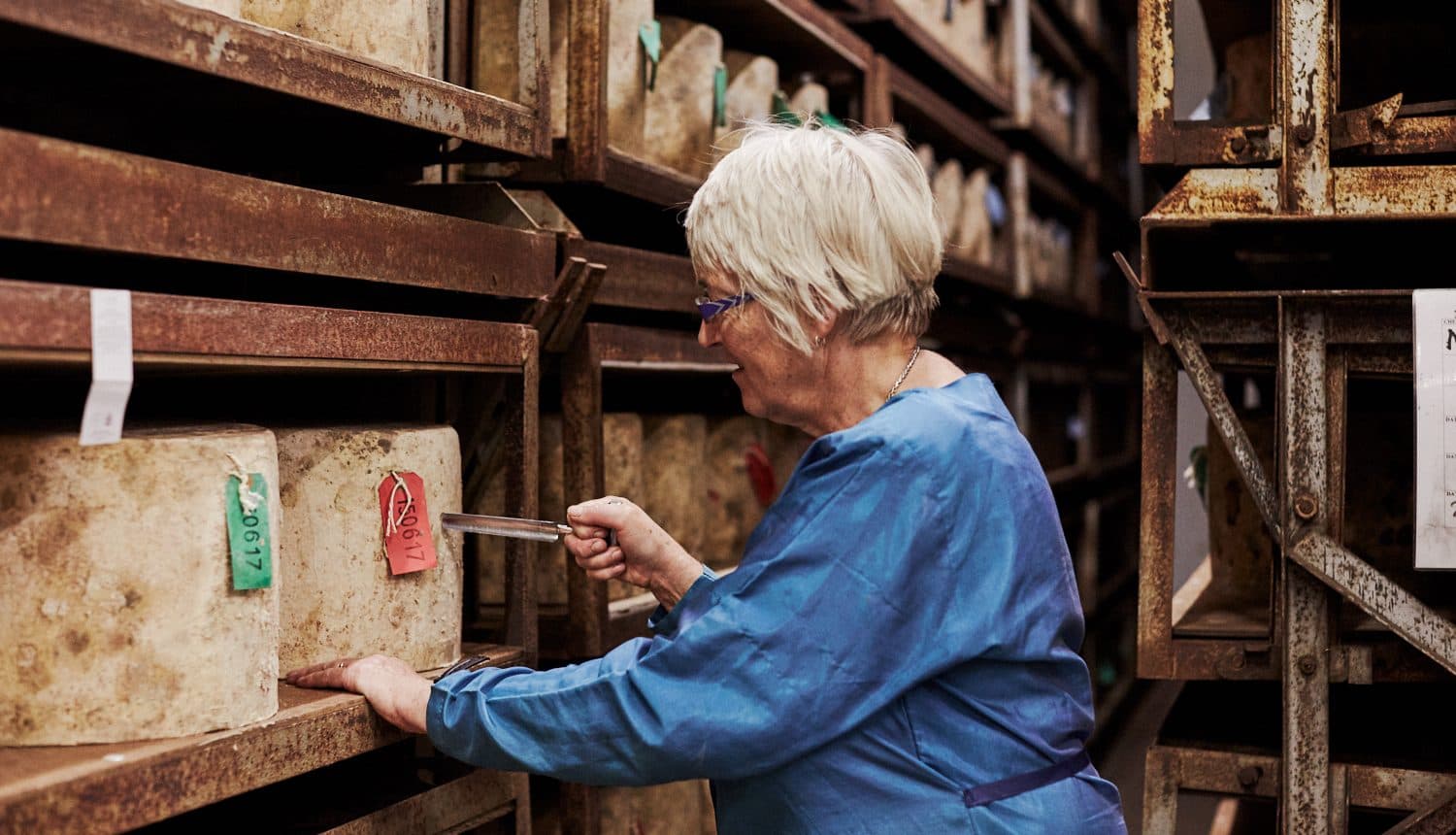 Cheesemaker grading a cloth-bound cheddar with an iron in a maturing store