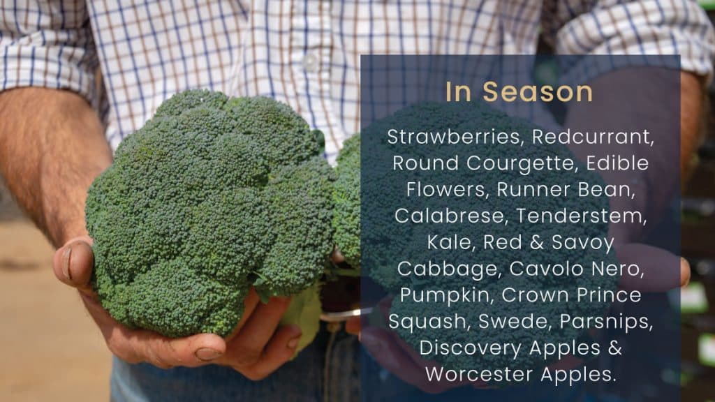 Farmer holding broccoli beside a list of produce in season