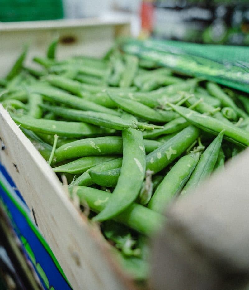 Crate of fresh green pea pods in a produce warehouse