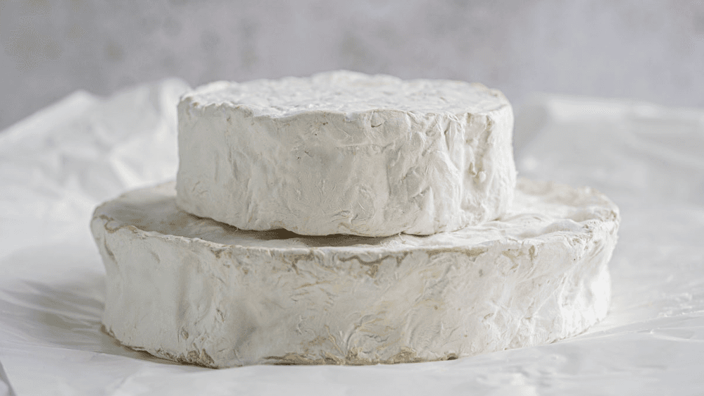 Two rounds of soft white rind cheese