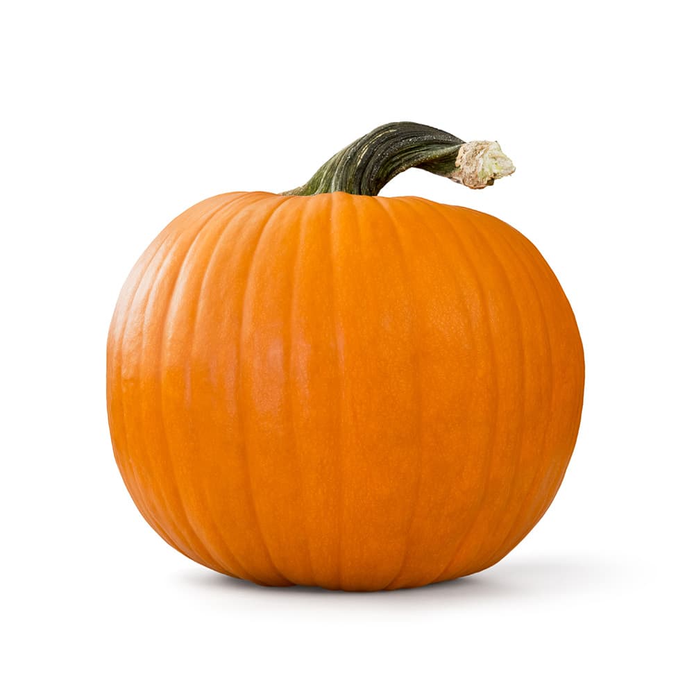PU07_3c4de6764a15f71562c349105c62e7be.png